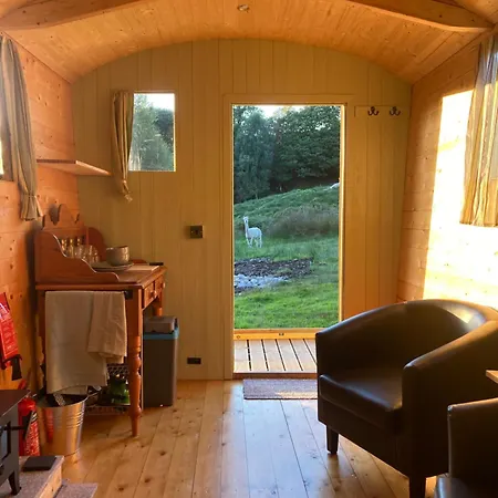 Shepherds Hut On Alpaca And Working Farm Blaenau Ffestiniog Exterior photo