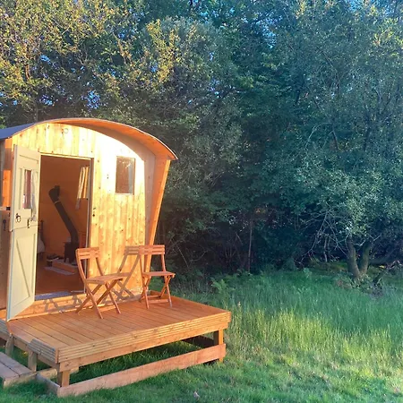 Shepherds Hut On Alpaca And Working Farm Blaenau Ffestiniog Exterior photo