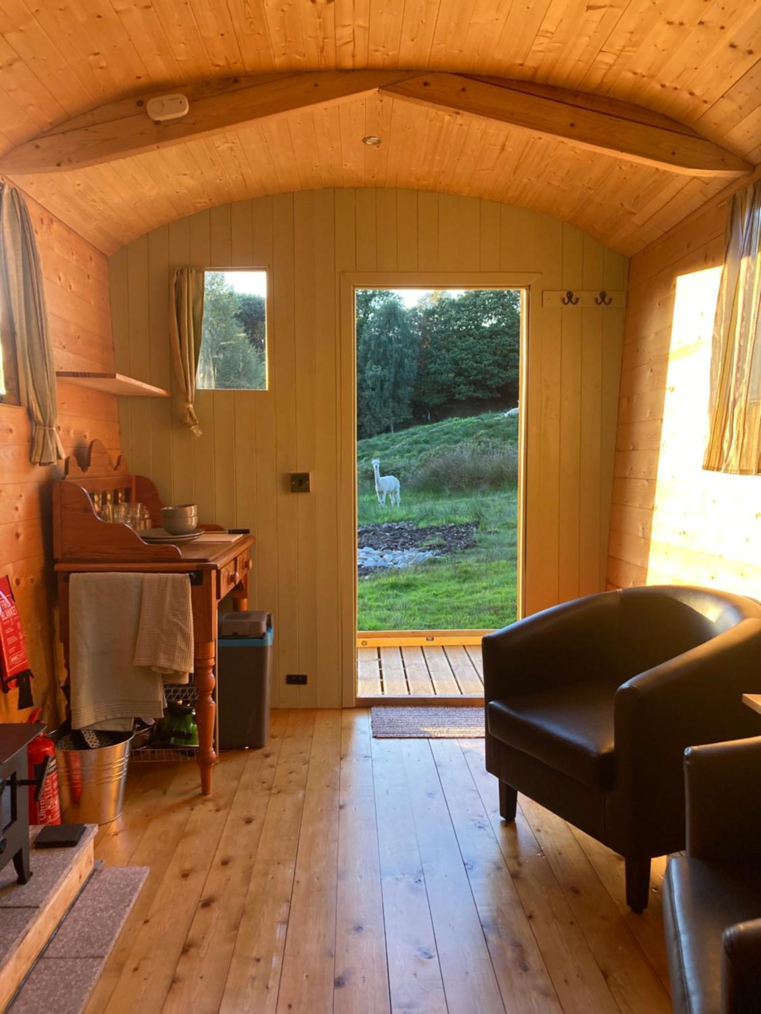 Luxury tent Shepherds Hut On Alpaca And Working Farm