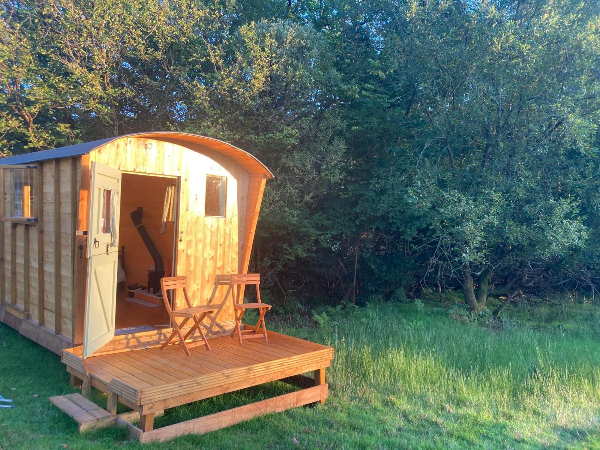 Shepherds Hut On Alpaca And Working Farm * Blaenau Ffestiniog